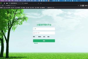 springboot 小型诊疗预约平台