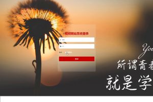 springboot 视频网站系统